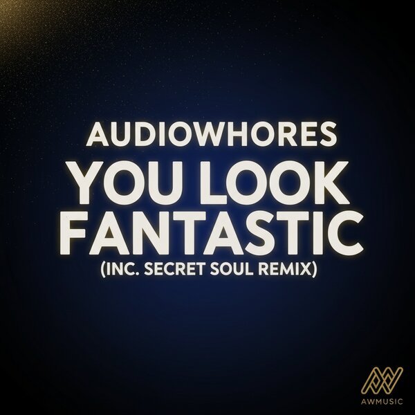 You Look Fantastic – Audiowhores cover artwork